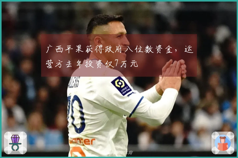 广西平果获得政府八位数资金，运营方去年投资仅7万元