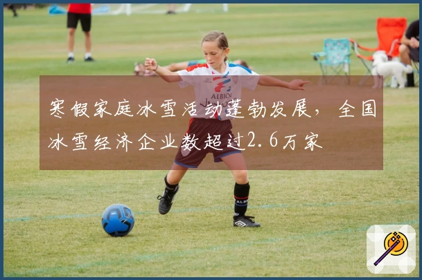 寒假家庭冰雪活动蓬勃发展，全国冰雪经济企业数超过2.6万家