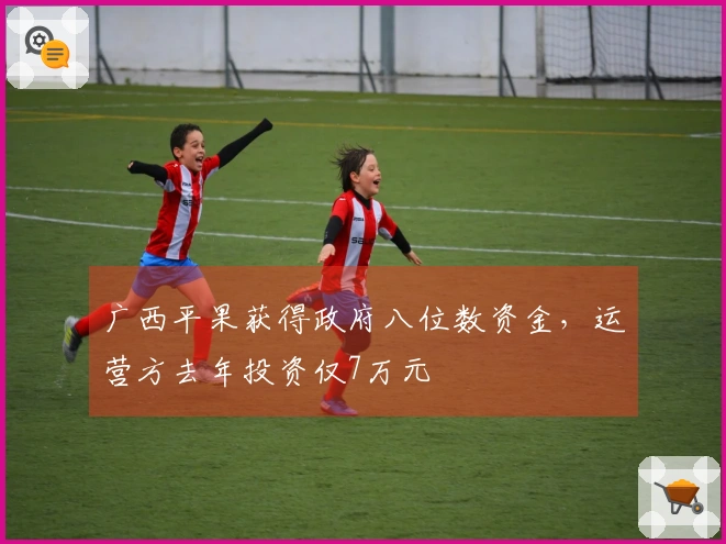 广西平果获得政府八位数资金，运营方去年投资仅7万元