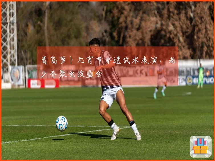 青岛萝卜元宵节非遗武术表演，老少齐聚竞技盛会